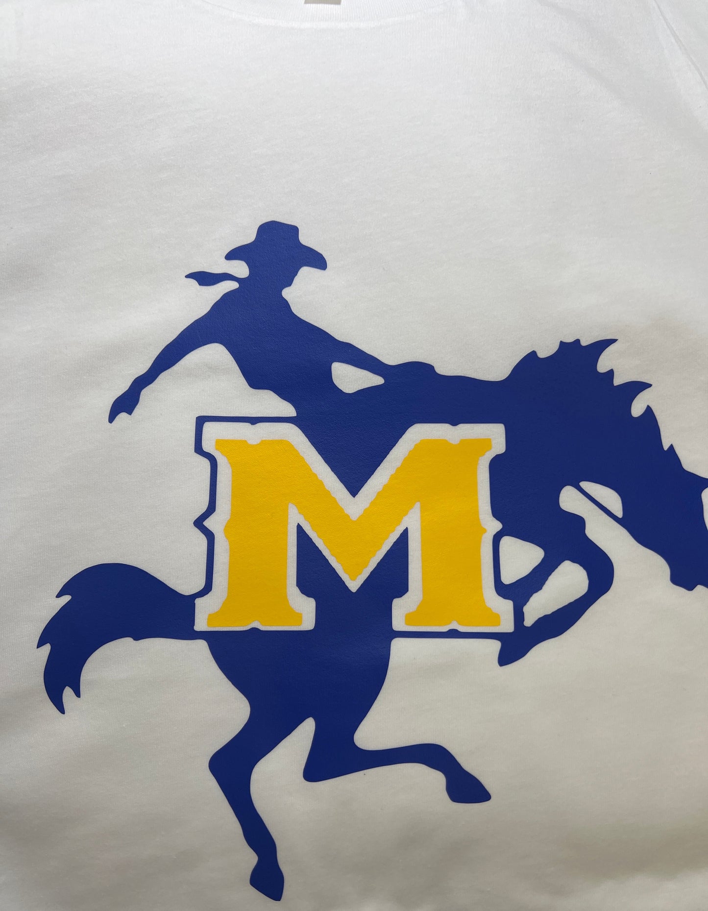 Custom Graphic Shirts (School Pride)