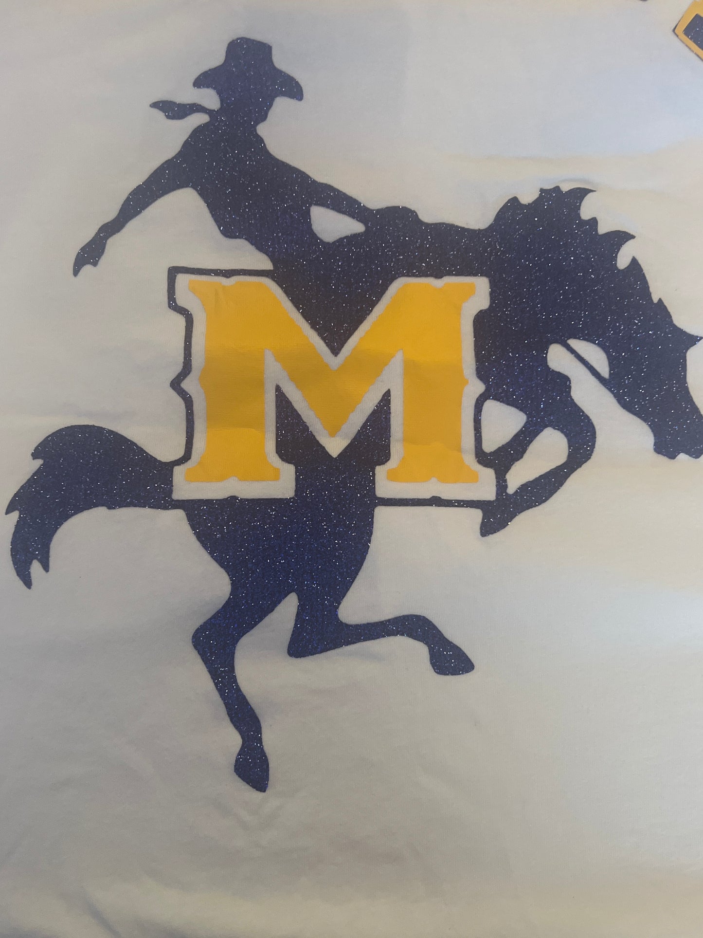 Custom Graphic Shirts (School Pride)